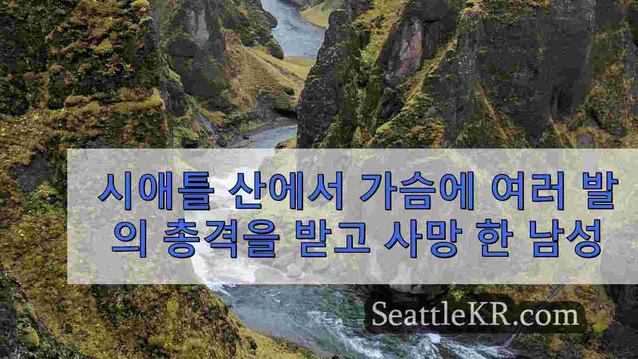 시애틀 뉴스 SeattleKR