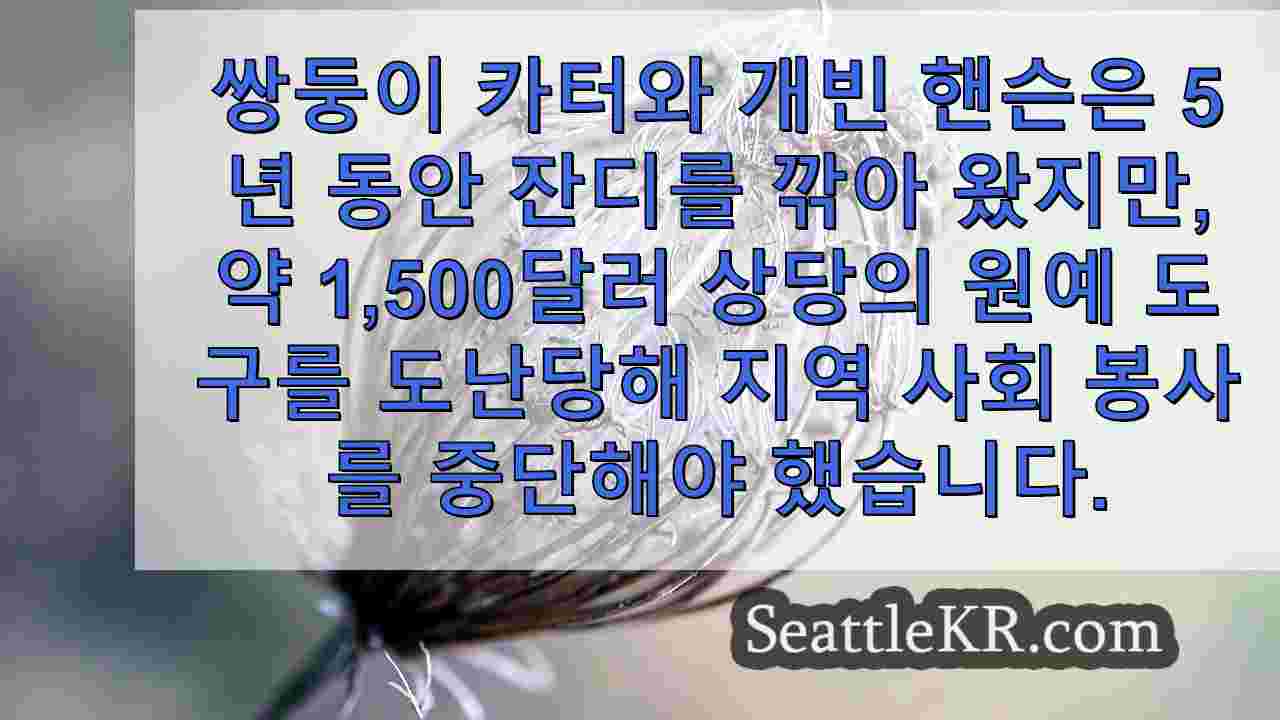 시애틀 뉴스 SeattleKR