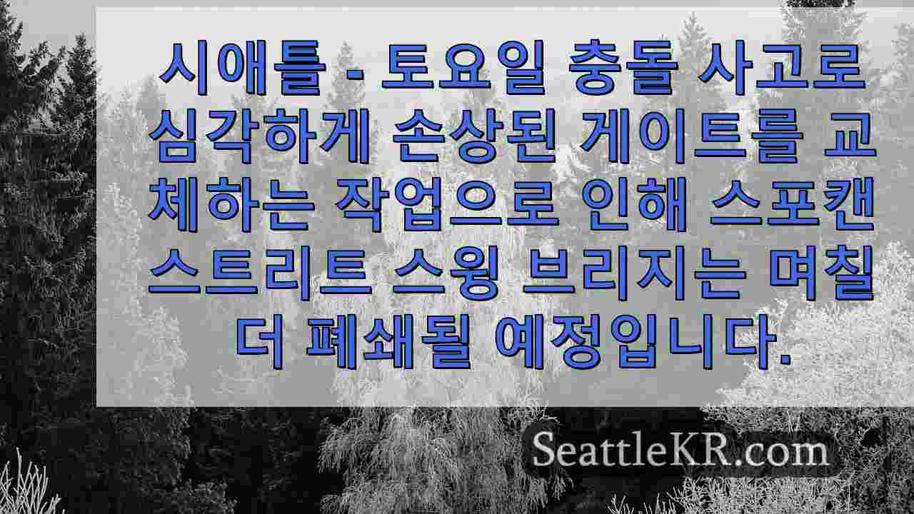 시애틀 뉴스 SeattleKR