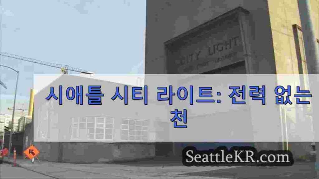 시애틀 시티 라이트: 전력 없는 천