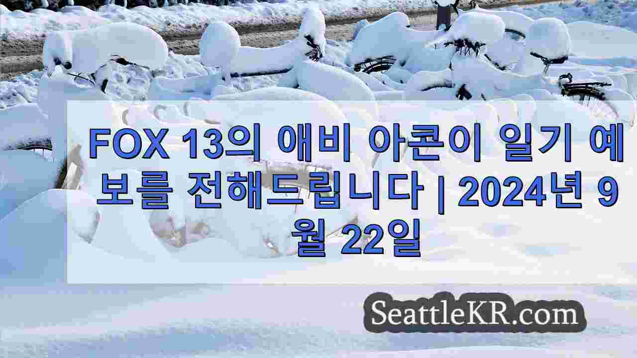 시애틀 뉴스 SeattleKR