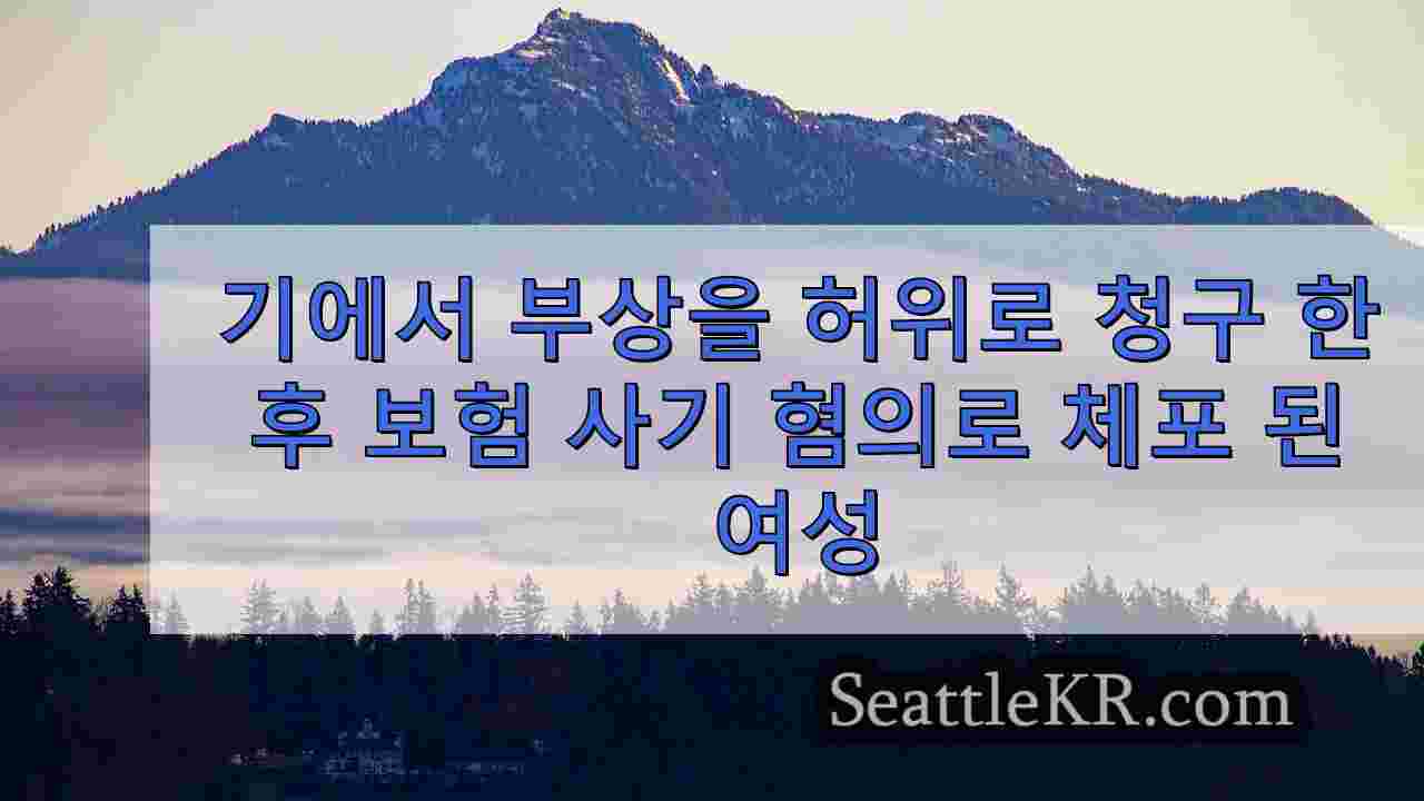 시애틀 뉴스 SeattleKR