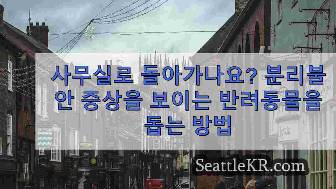 시애틀 뉴스 SeattleKR