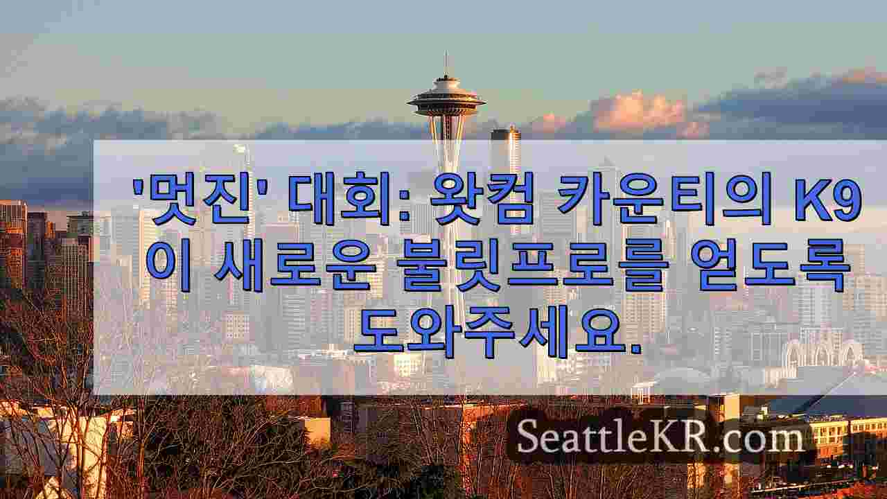시애틀 뉴스 SeattleKR