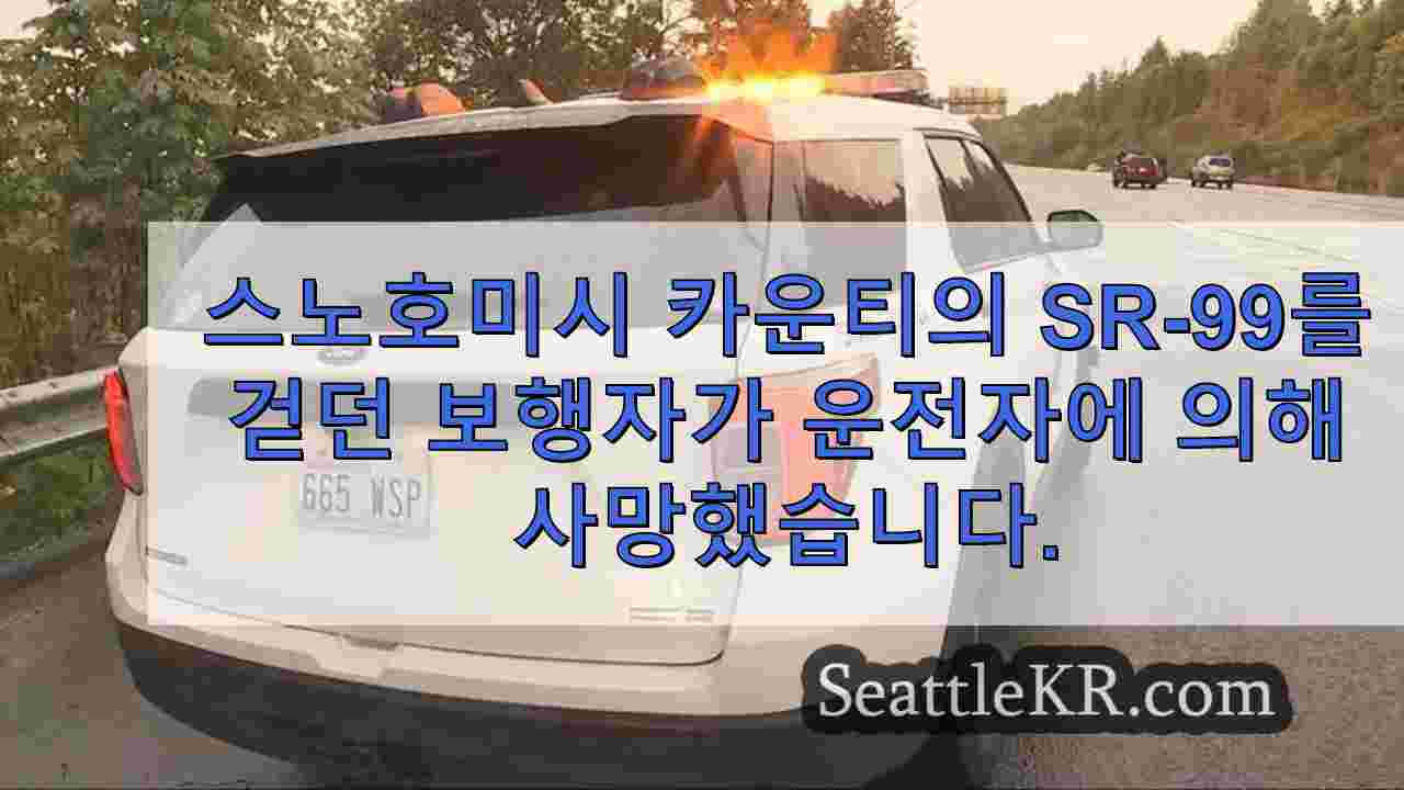 스노호미시 카운티의 SR-99를 걷던 보행자가 운전자에 의해