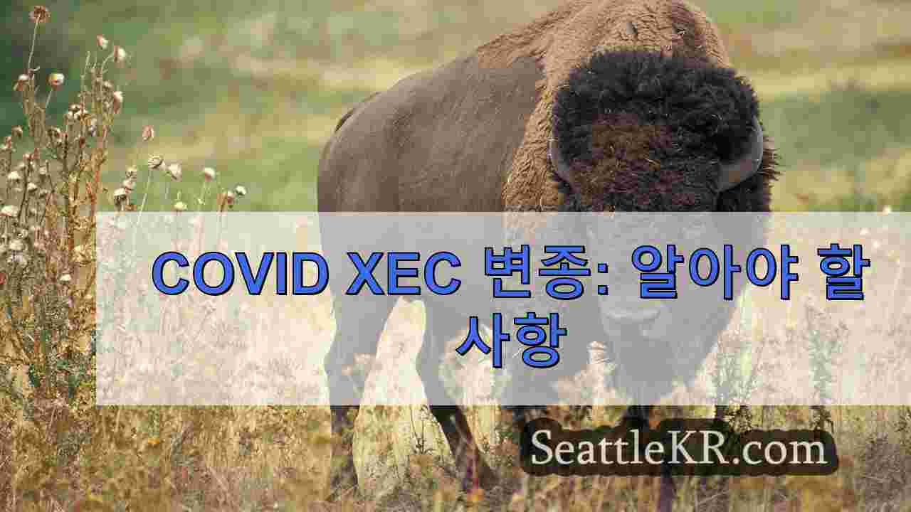 시애틀 뉴스 SeattleKR