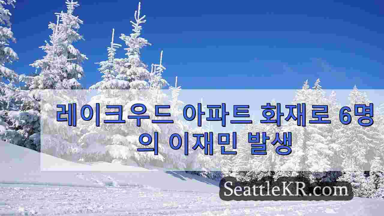 시애틀 뉴스 SeattleKR