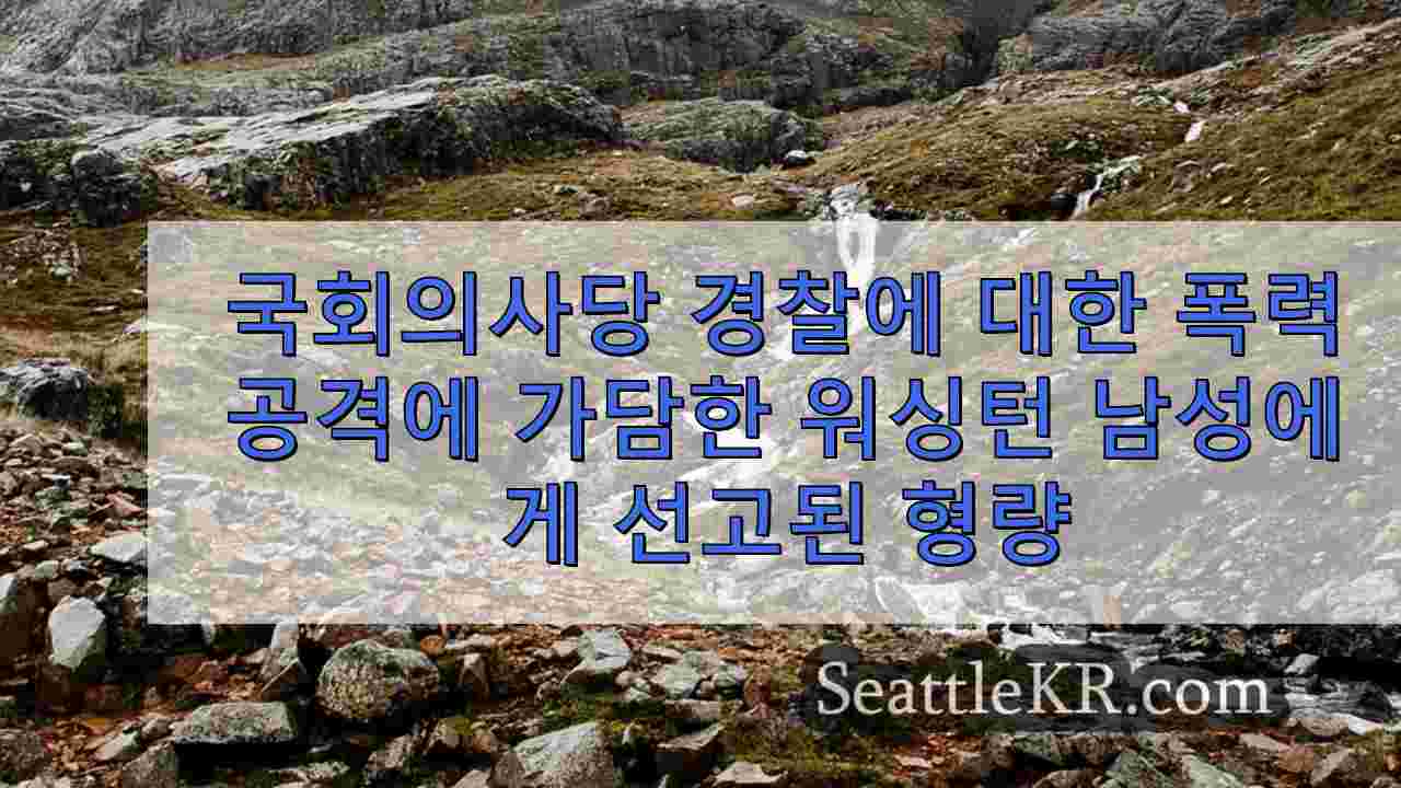 시애틀 뉴스 SeattleKR