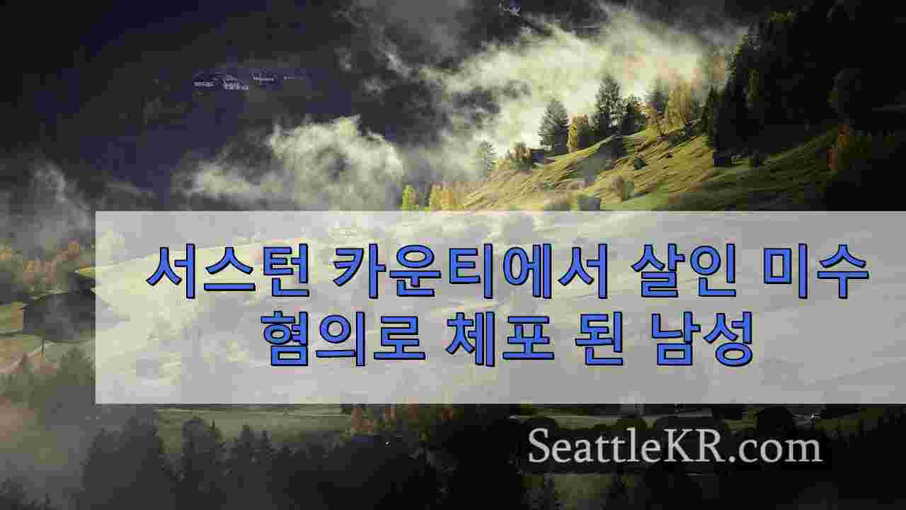 시애틀 뉴스 SeattleKR