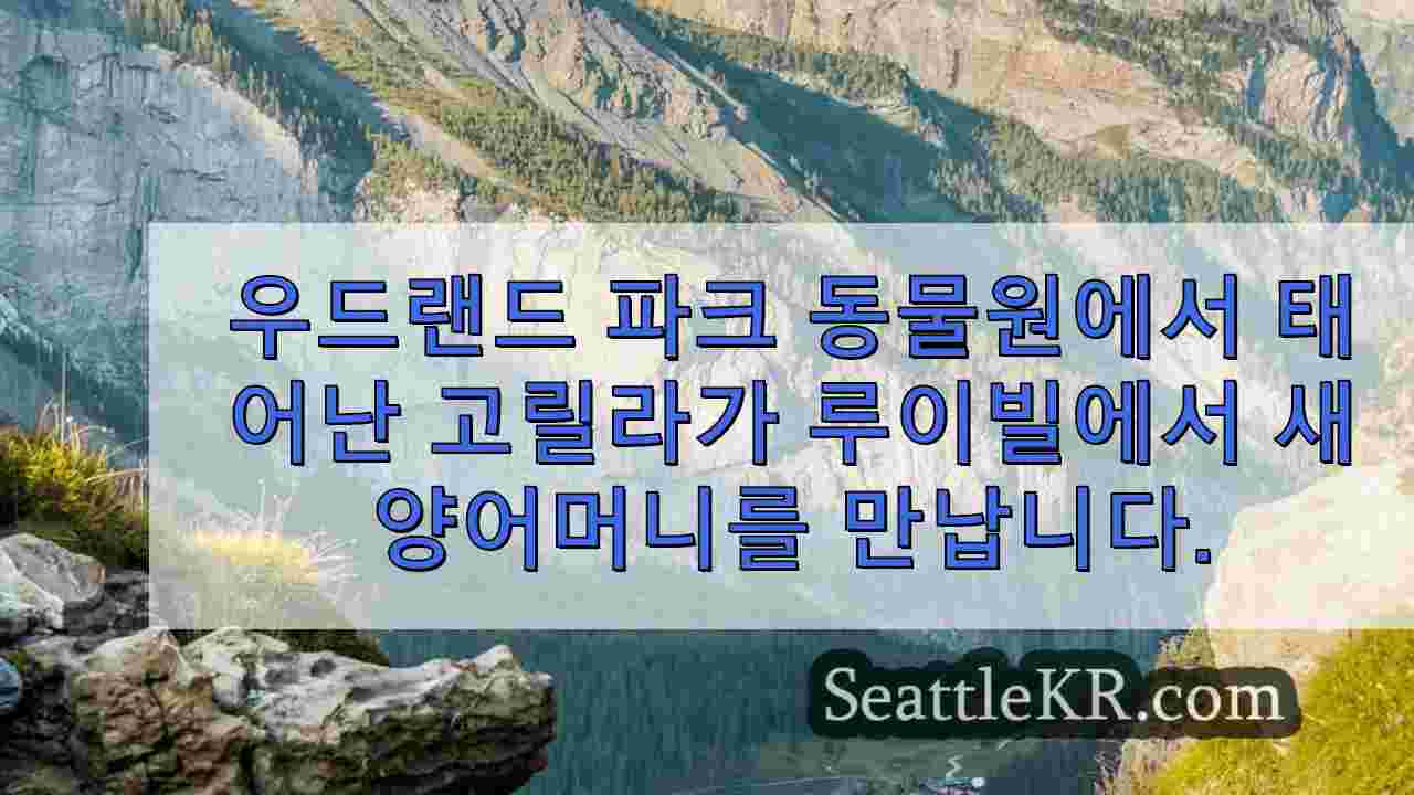 시애틀 뉴스 SeattleKR