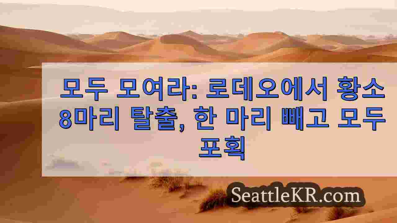 시애틀 뉴스 SeattleKR