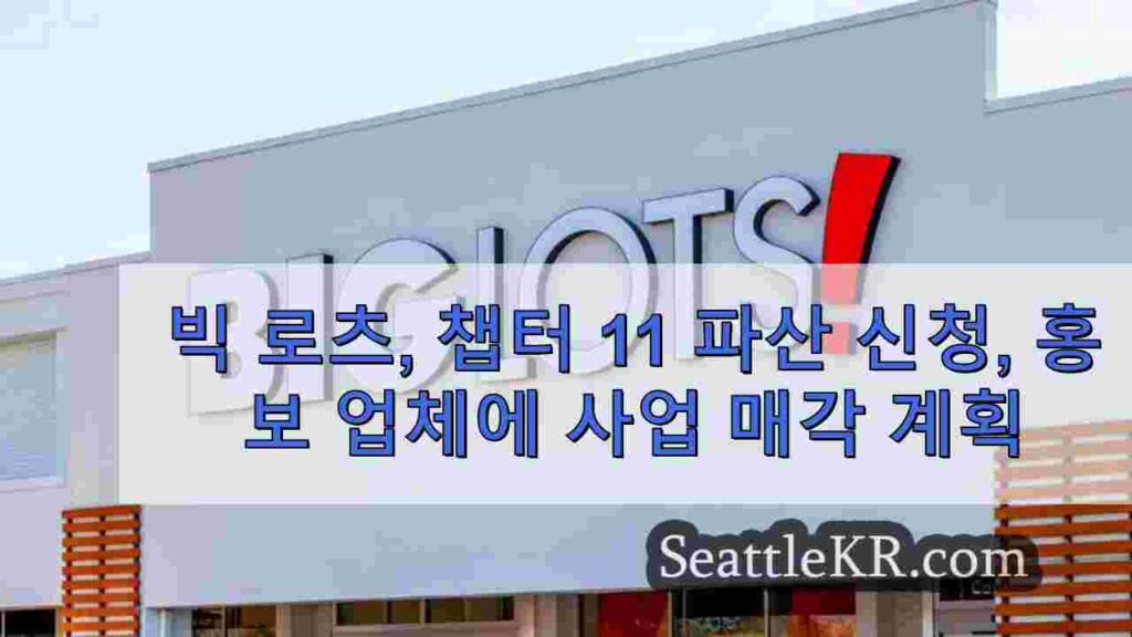 빅 로츠, 챕터 11 파산 신청, 사모 펀드에 사업 매각 계획