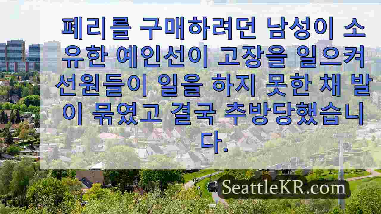 시애틀 뉴스 SeattleKR