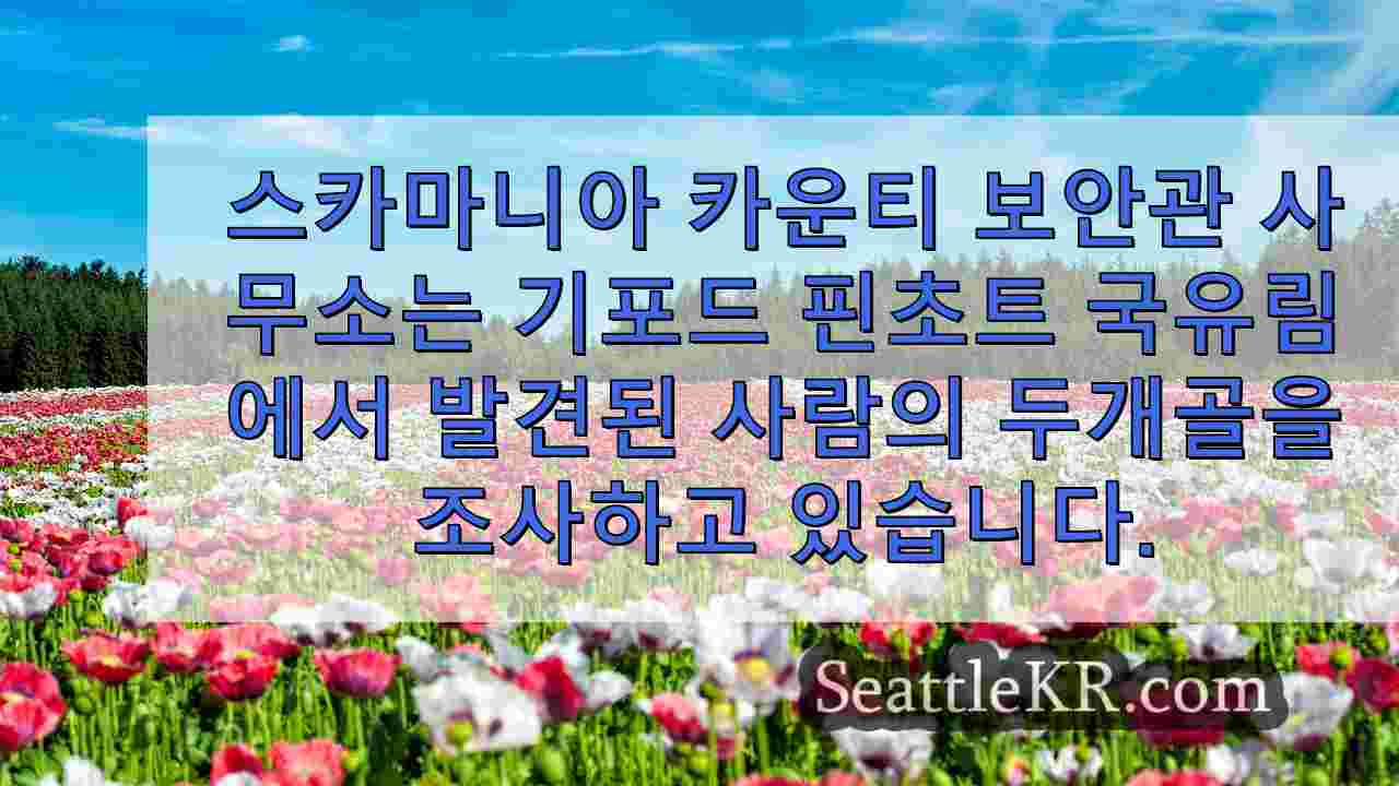 시애틀 뉴스 SeattleKR