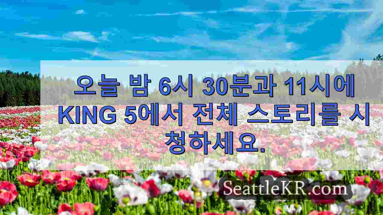 시애틀 뉴스 SeattleKR