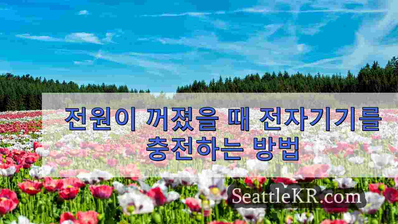 시애틀 뉴스 SeattleKR