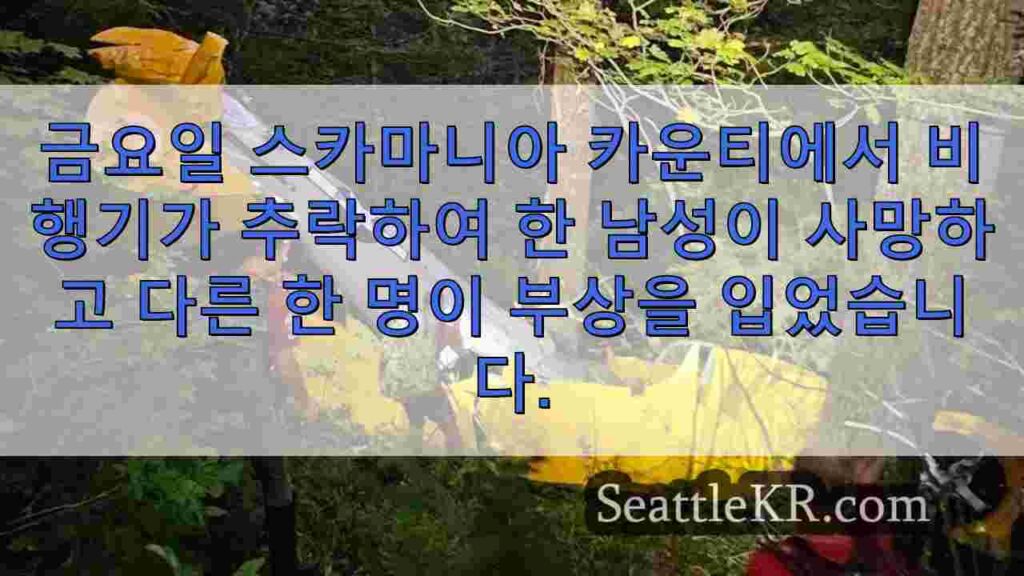 스카 마니아 카운티에서 비행기 추락 사고로 승객 사망, 조종사 부상