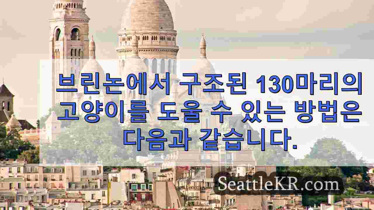 시애틀 뉴스 SeattleKR