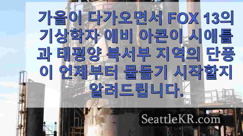 서부 워싱턴 주에서 단풍이 절정에 이르는 시기는 다음과 같습니다.