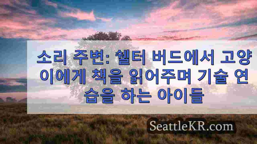 소리 주변: 쉘터 버디 프로그램에서 고양이에게 책을 읽어주며 기술을
