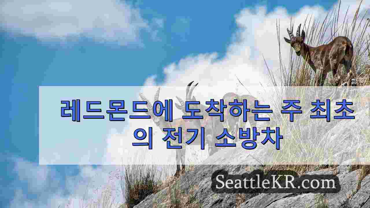 시애틀 뉴스 SeattleKR