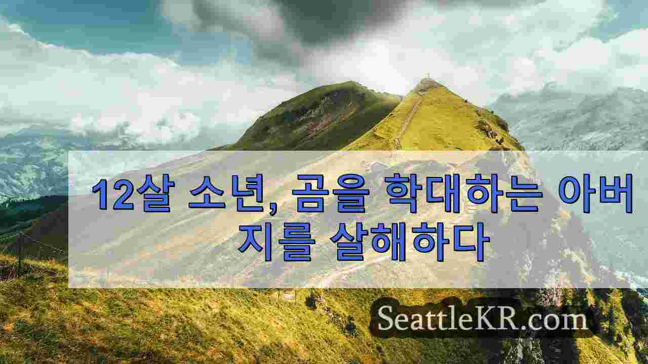 시애틀 뉴스 SeattleKR