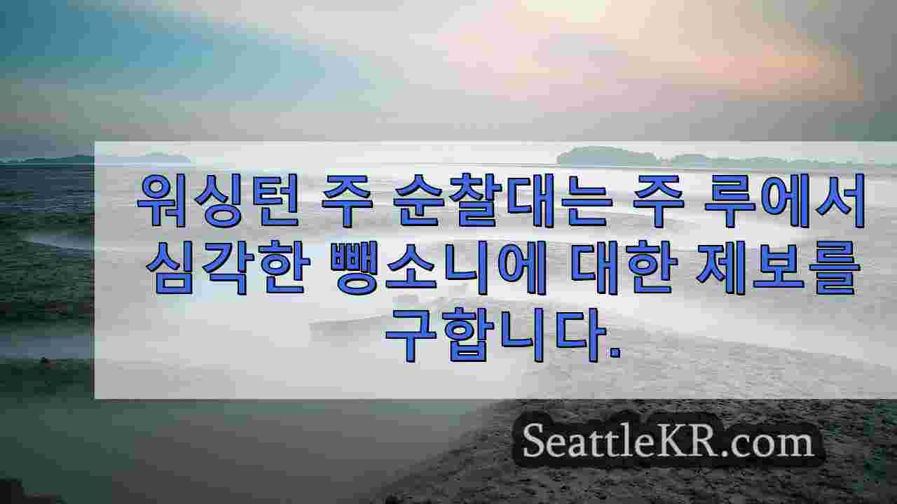 시애틀 뉴스 SeattleKR