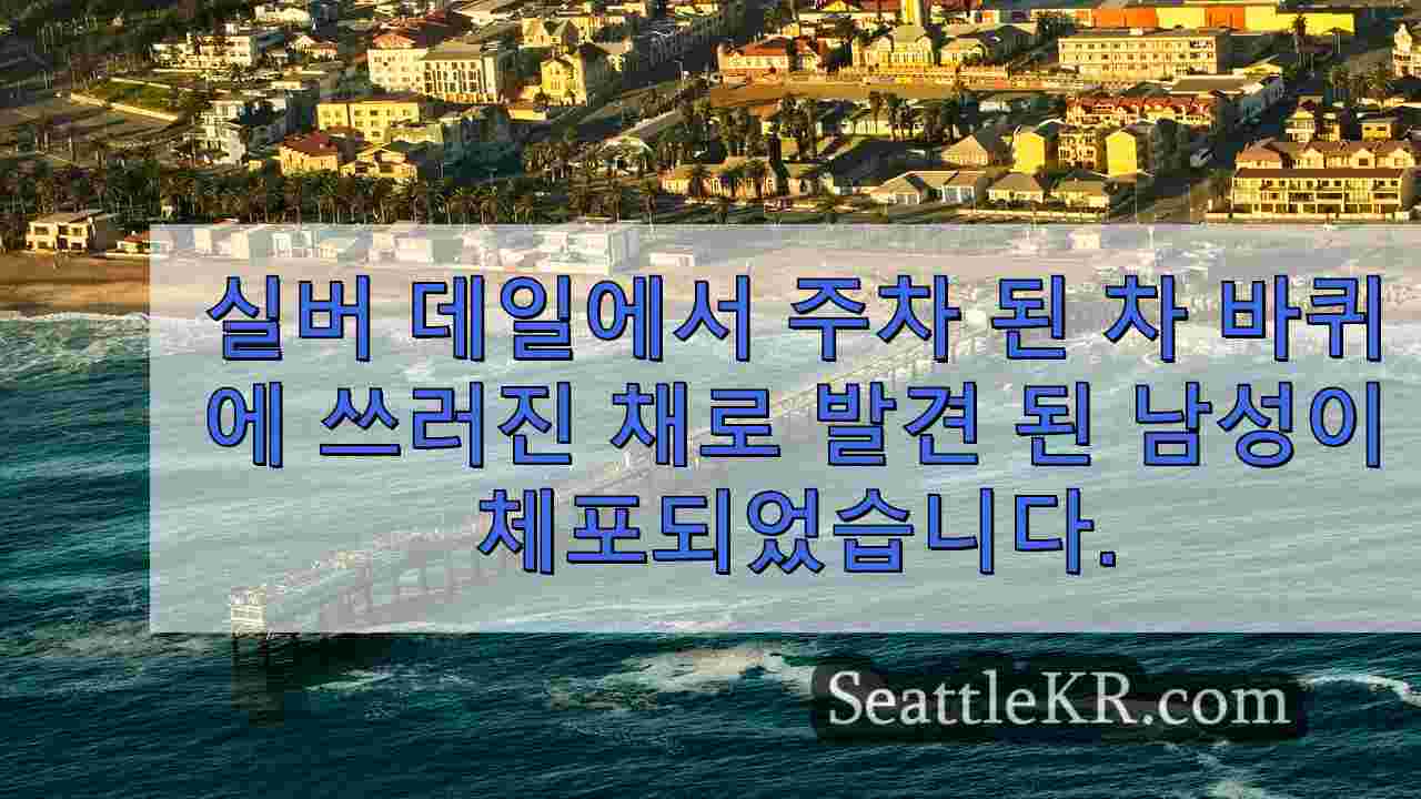 시애틀 뉴스 SeattleKR