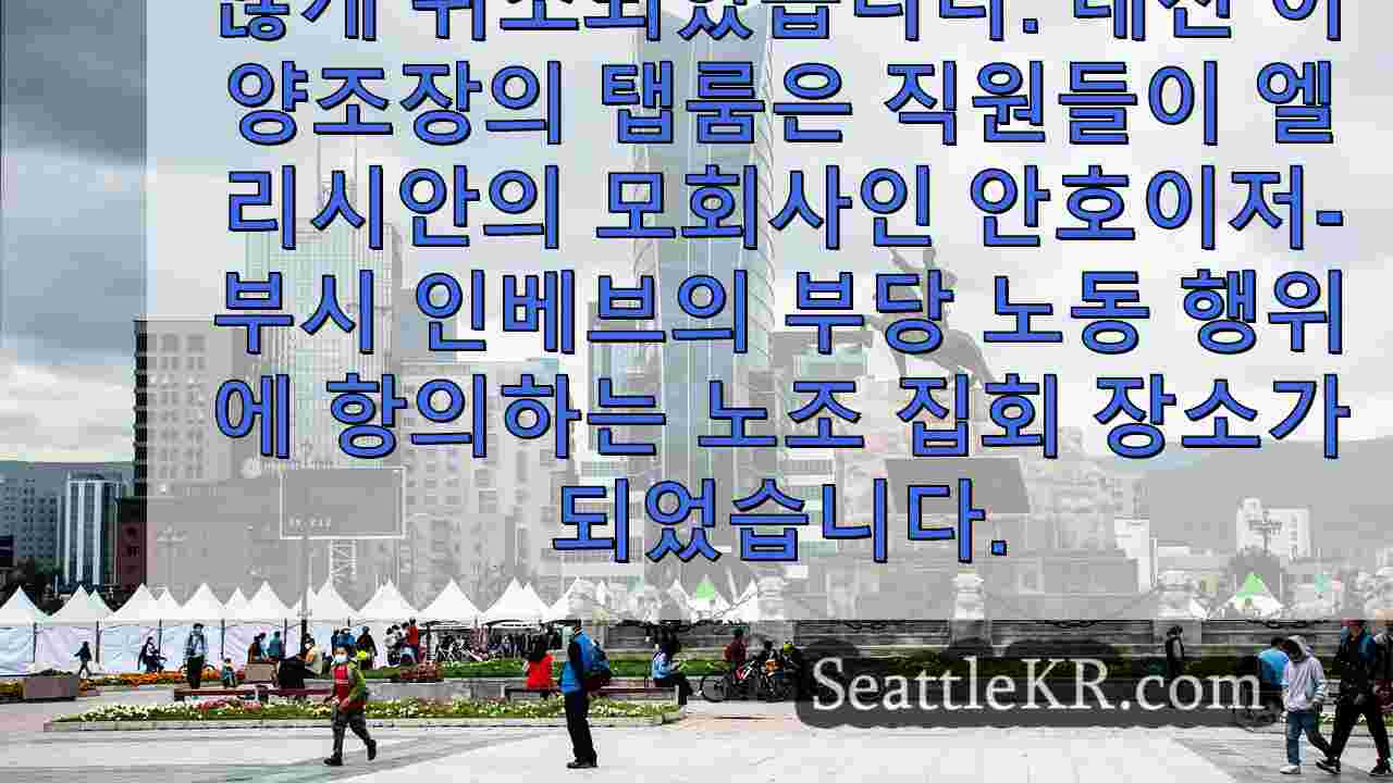 시애틀 뉴스 SeattleKR