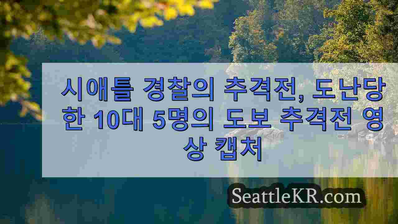시애틀 뉴스 SeattleKR