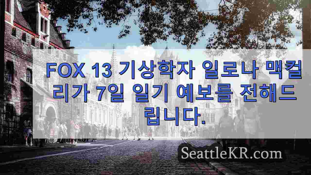 시애틀 뉴스 SeattleKR