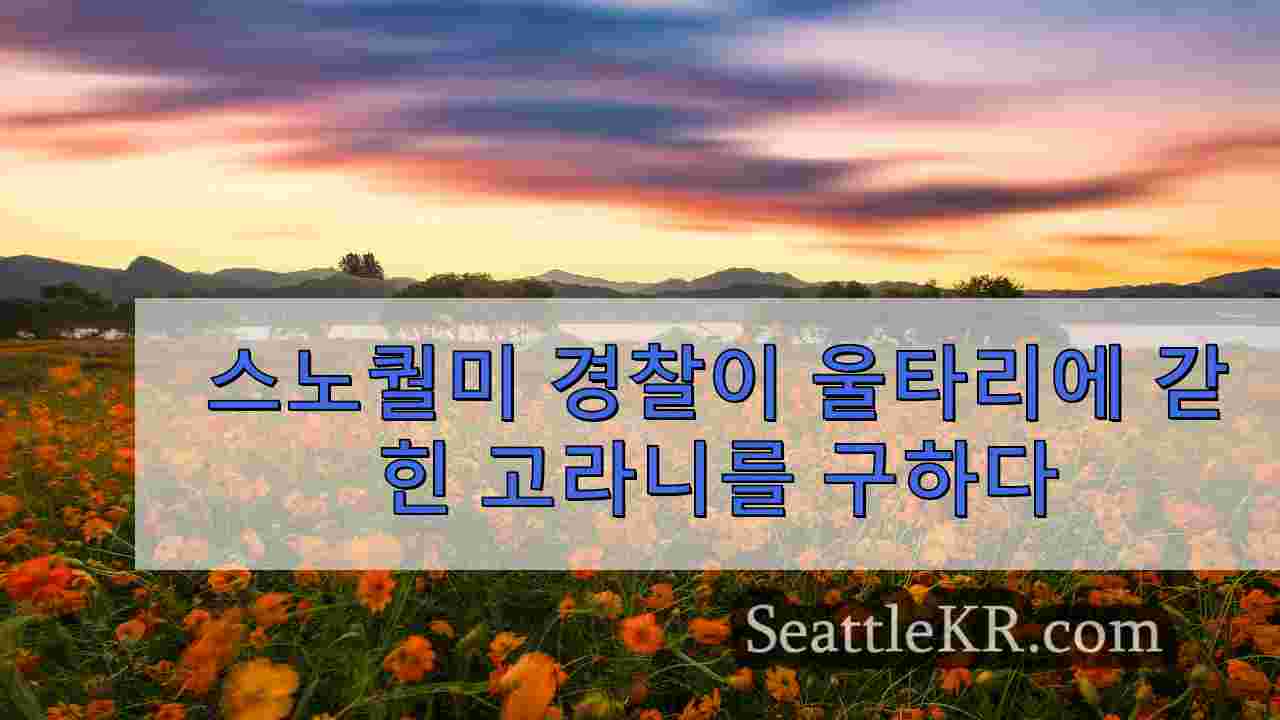 시애틀 뉴스 SeattleKR