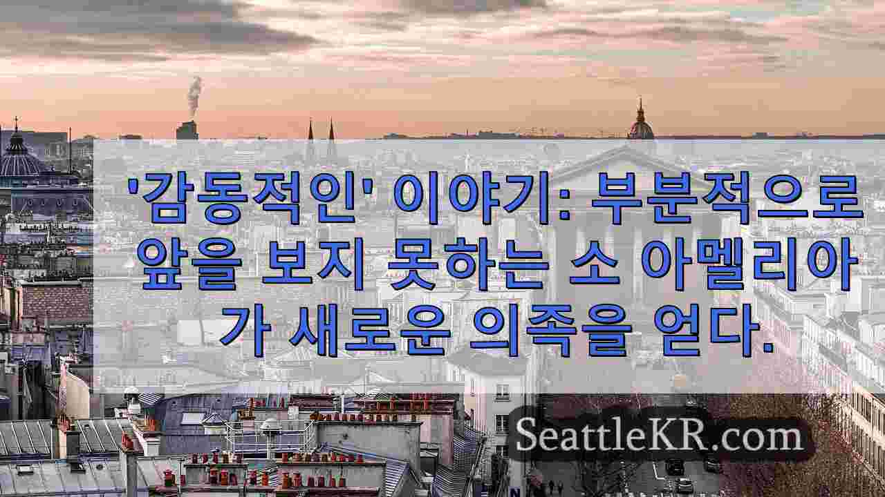 시애틀 뉴스 SeattleKR