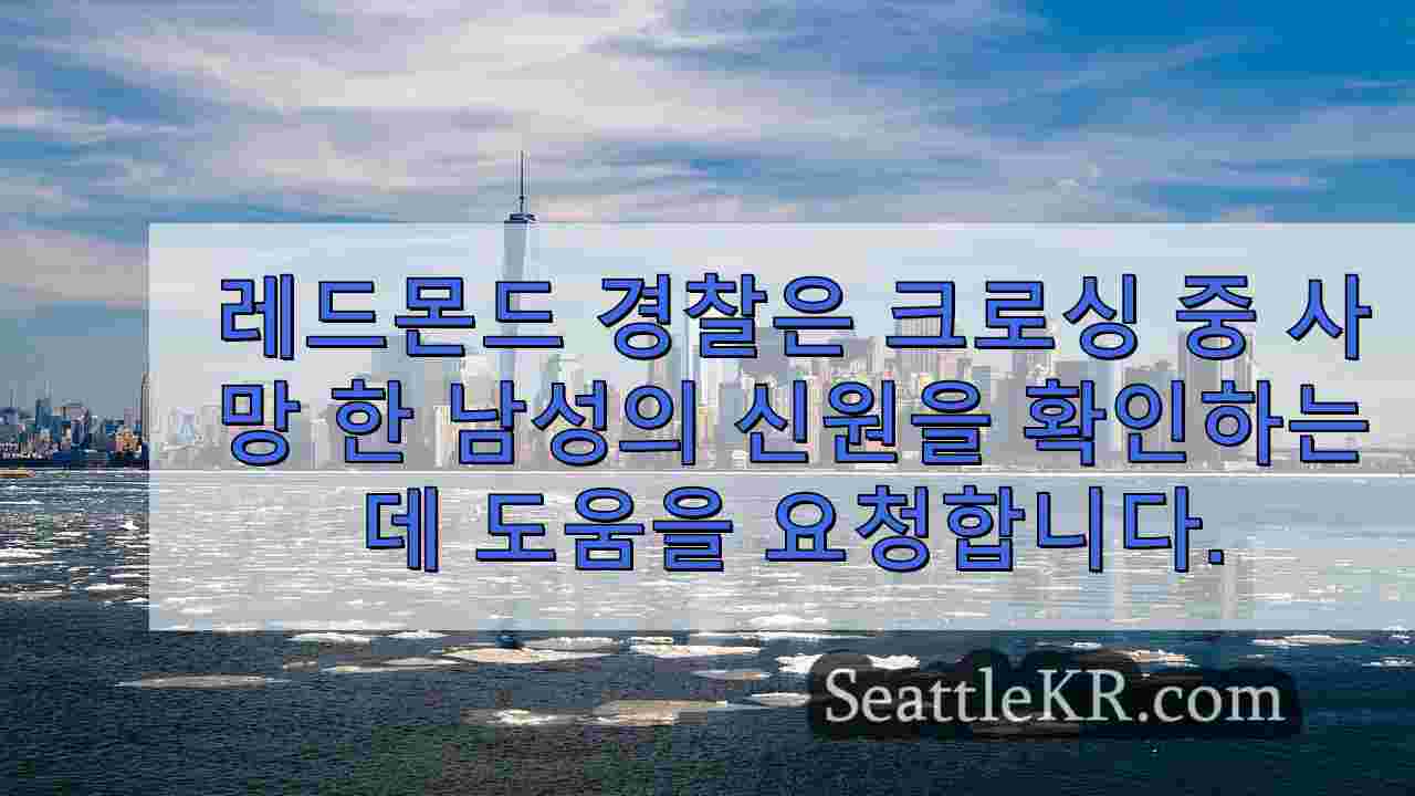 시애틀 뉴스 SeattleKR