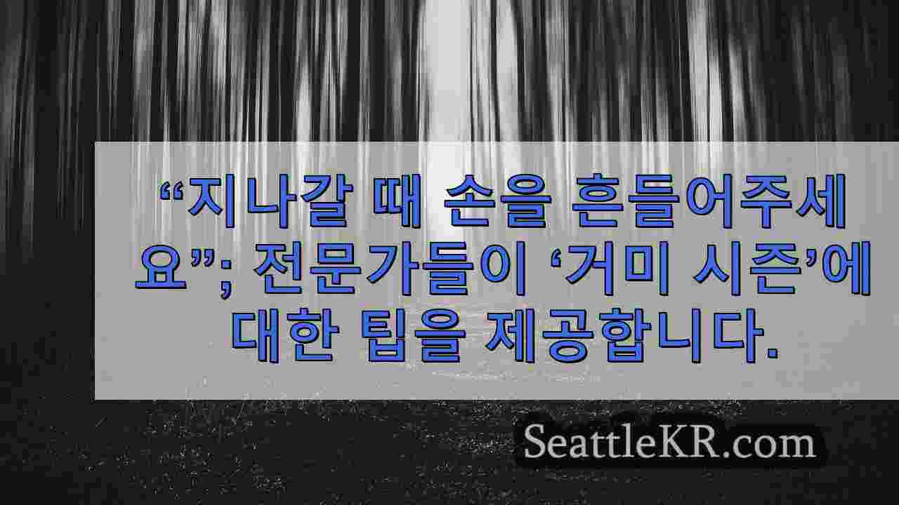 시애틀 뉴스 SeattleKR