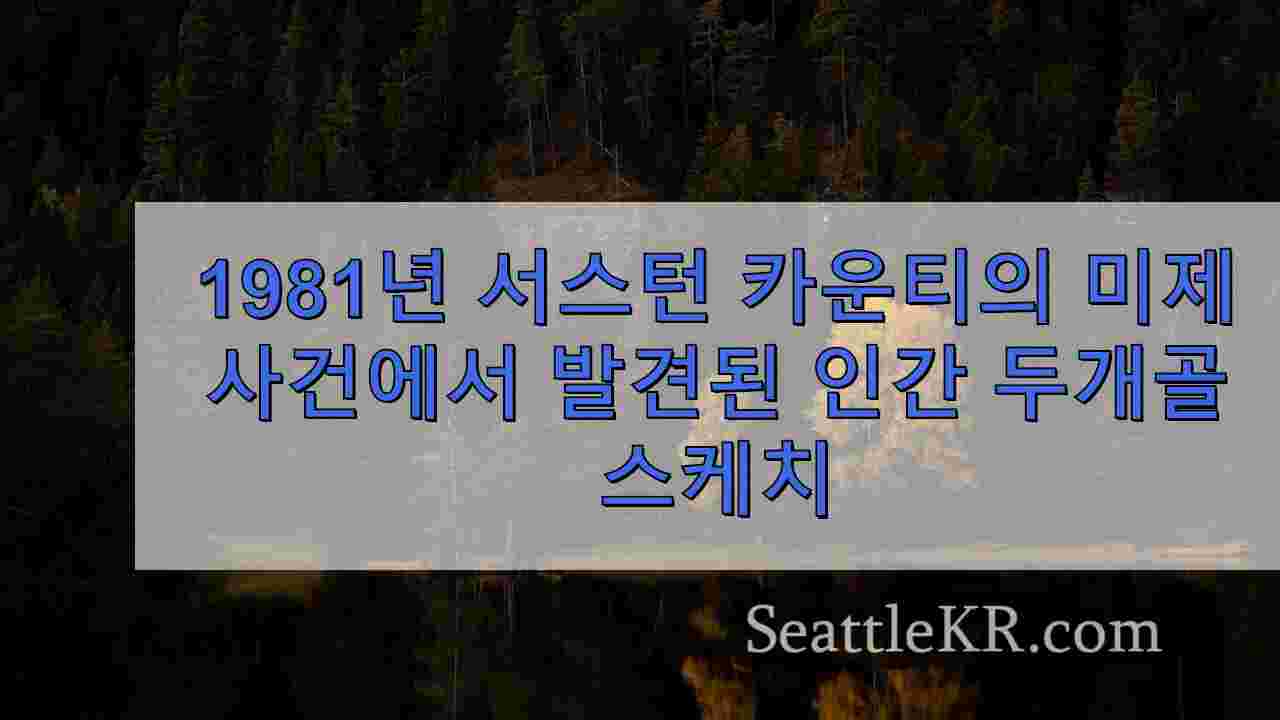시애틀 뉴스 SeattleKR