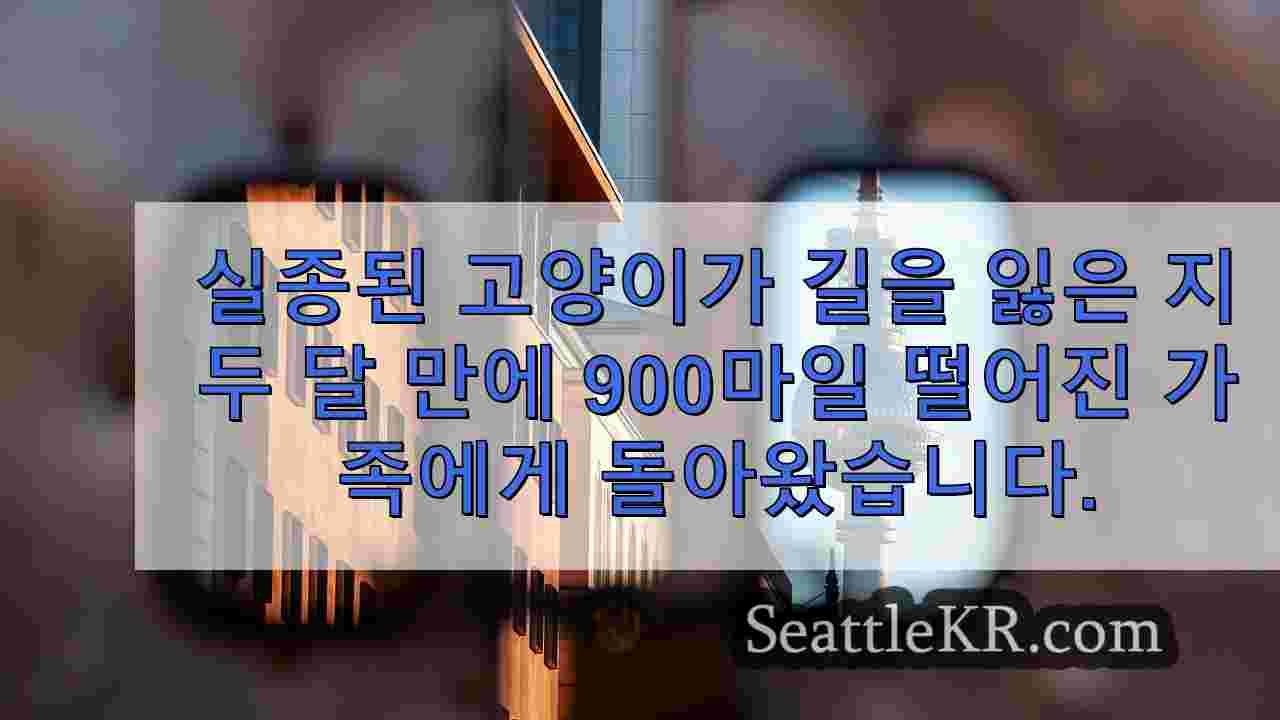 시애틀 뉴스 SeattleKR