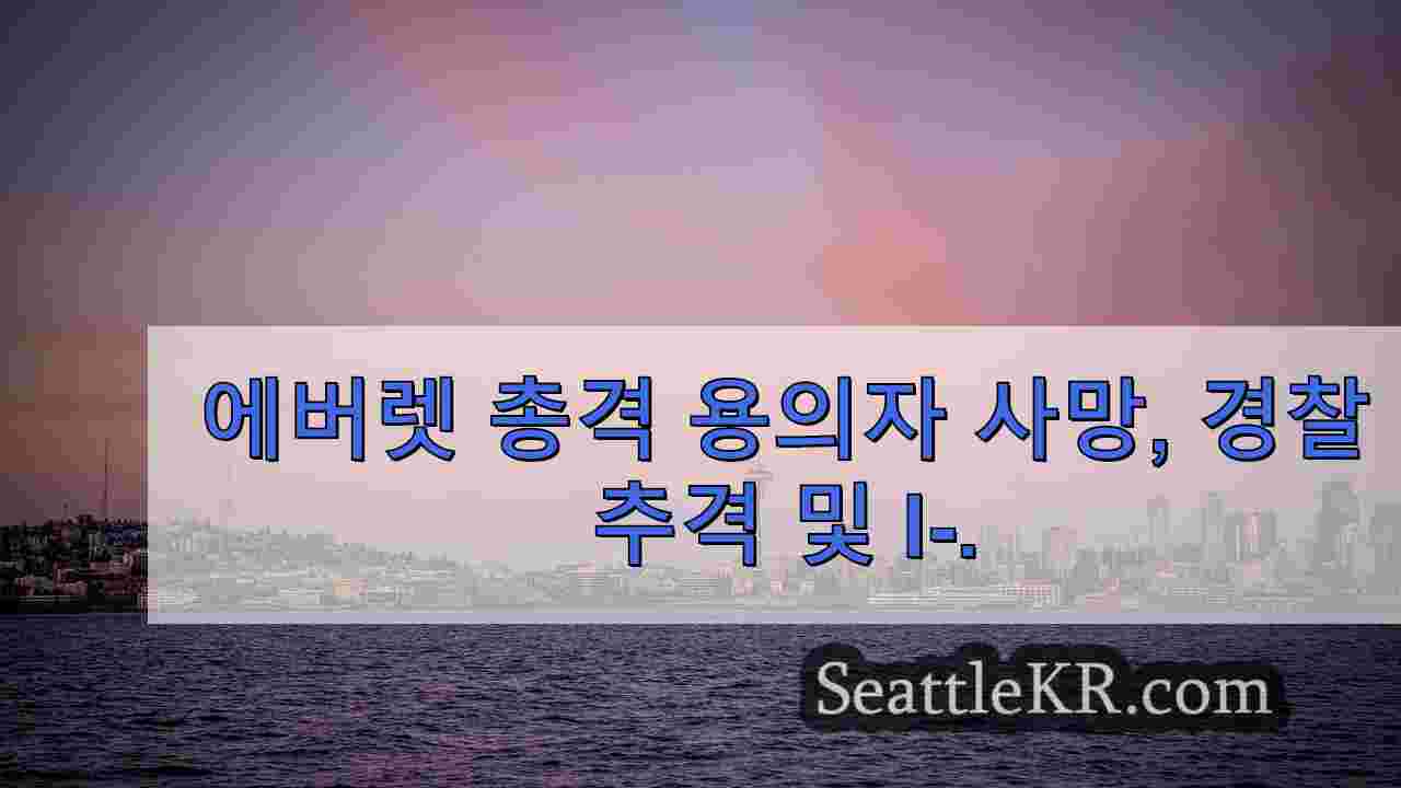 시애틀 뉴스 SeattleKR