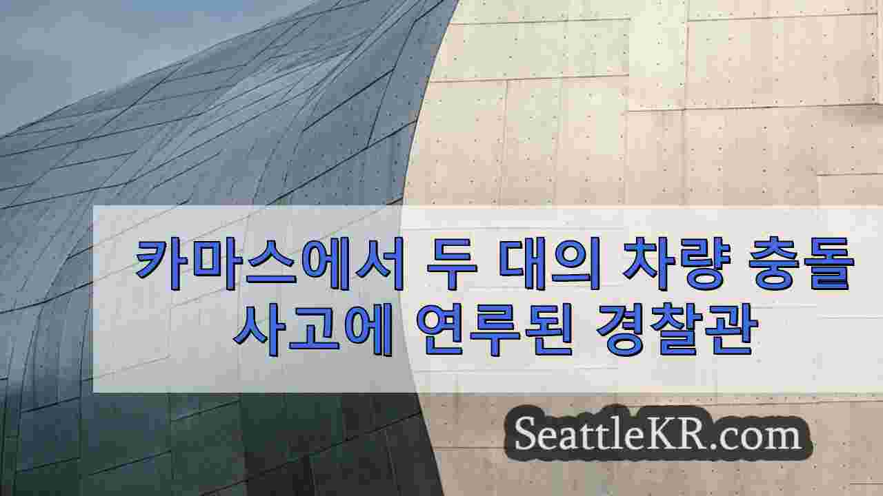 시애틀 뉴스 SeattleKR