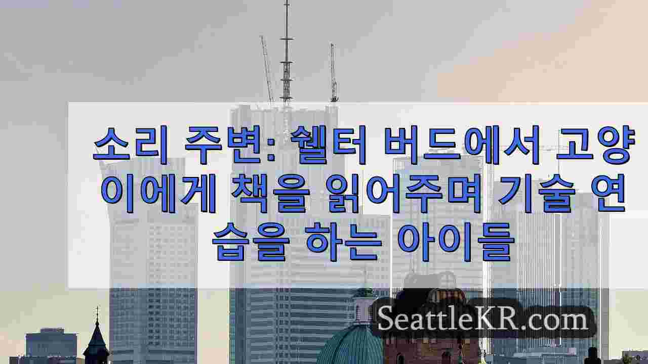 시애틀 뉴스 SeattleKR