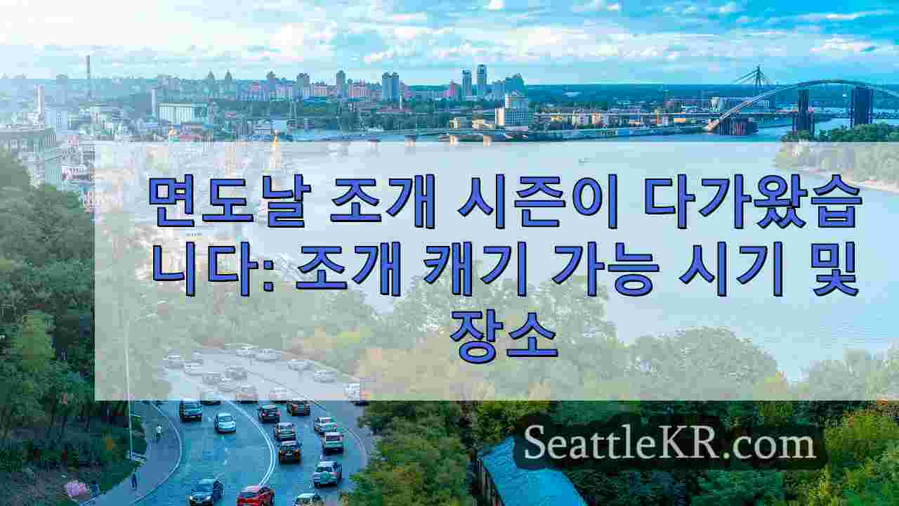 시애틀 뉴스 SeattleKR