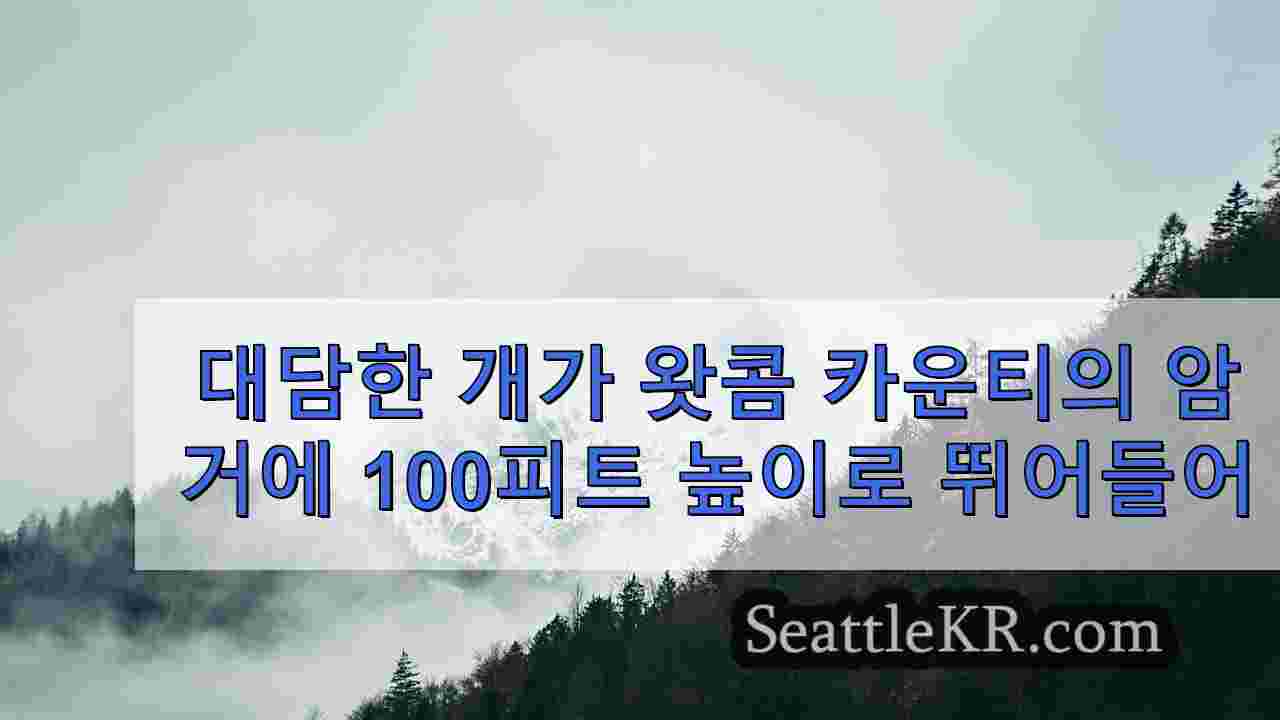 시애틀 뉴스 SeattleKR