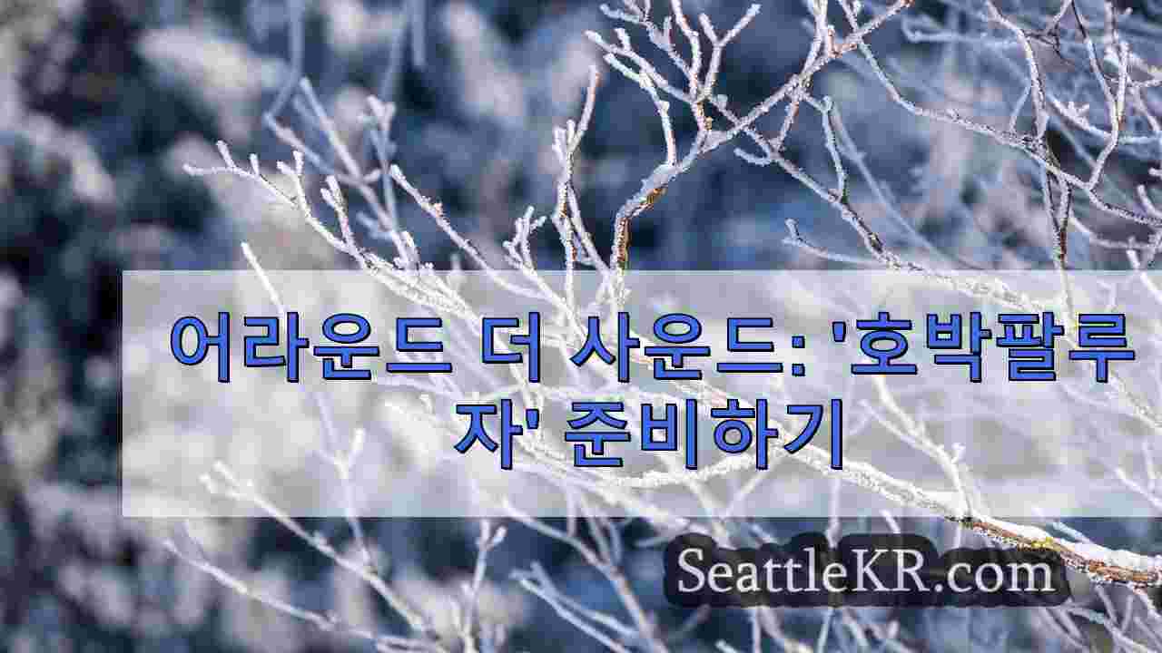 시애틀 뉴스 SeattleKR