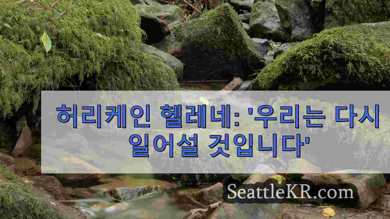 시애틀 뉴스 SeattleKR