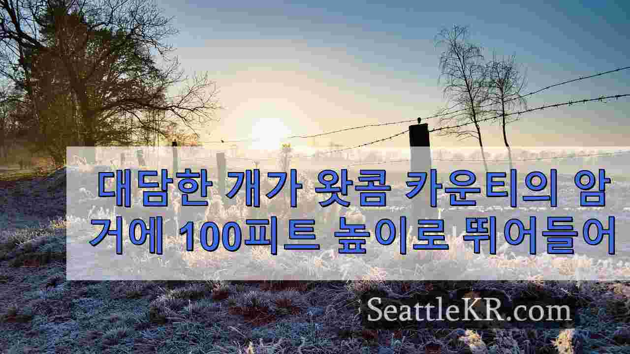 시애틀 뉴스 SeattleKR