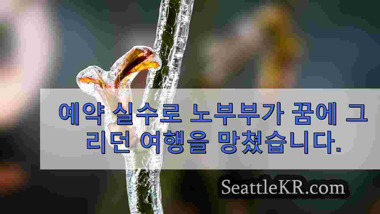 시애틀 뉴스 SeattleKR