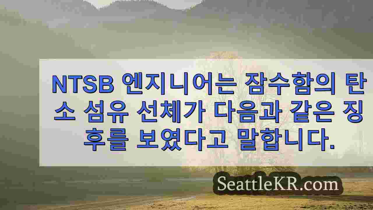 시애틀 뉴스 SeattleKR