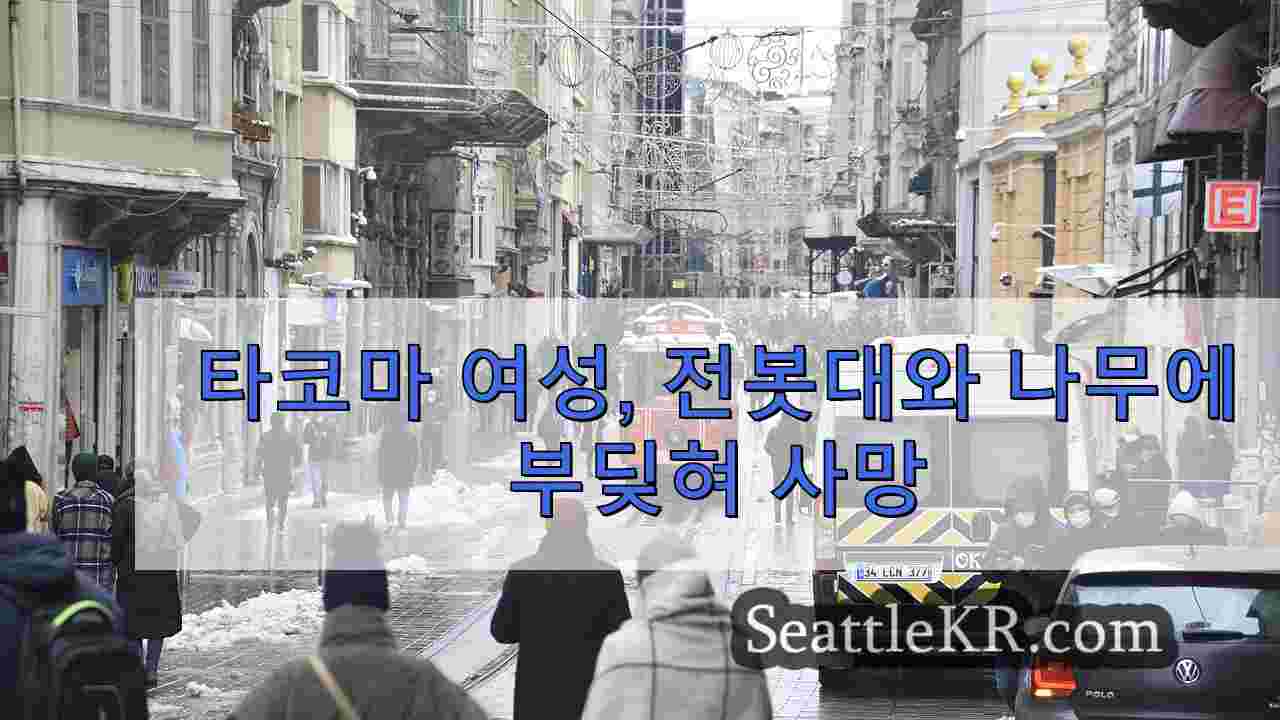 시애틀 뉴스 SeattleKR
