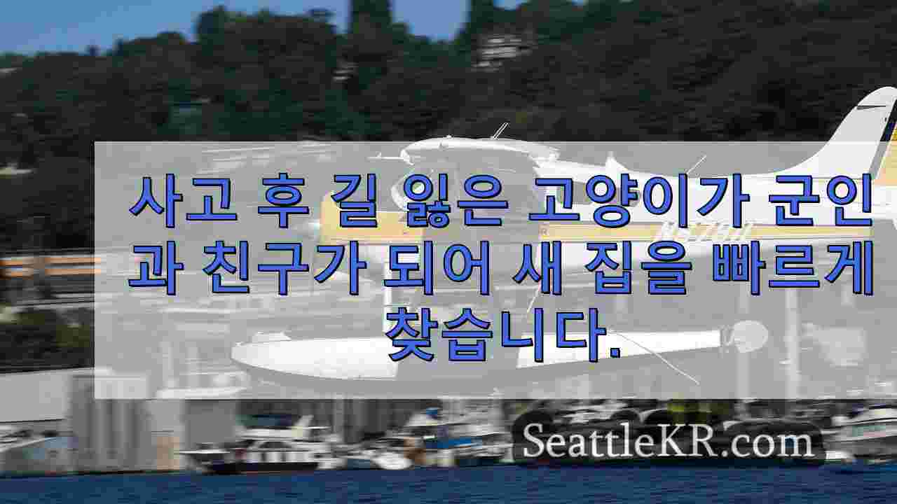 시애틀 뉴스 SeattleKR
