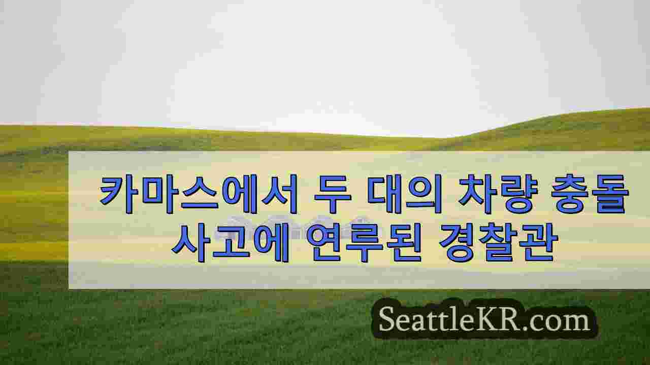 시애틀 뉴스 SeattleKR